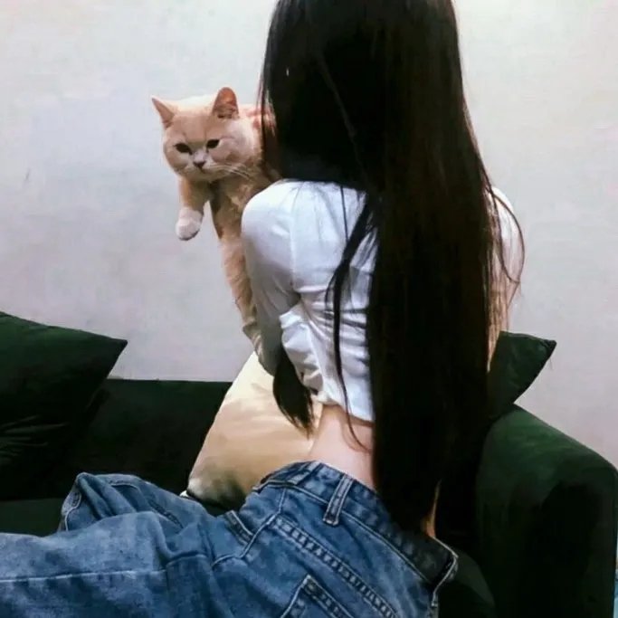 恶夜救援